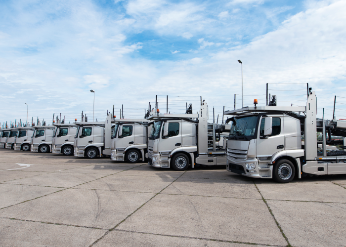 CICPA Pass Trucks & PDO Trucks in UAE CICPA Pass Trucks & PDO Trucks in UAE