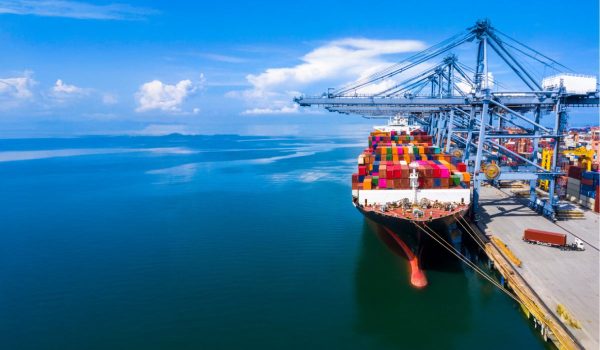 UAE 12-Digit HS Codes: Impact on Trade & Logistics