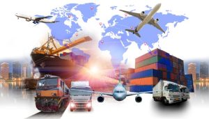 UAE 12-Digit HS Codes: Impact on Trade & Logistics