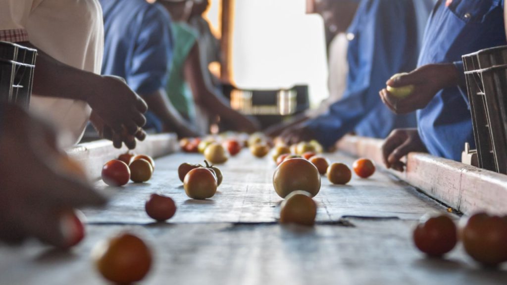 Facilitating Food Security and Trade Expansion