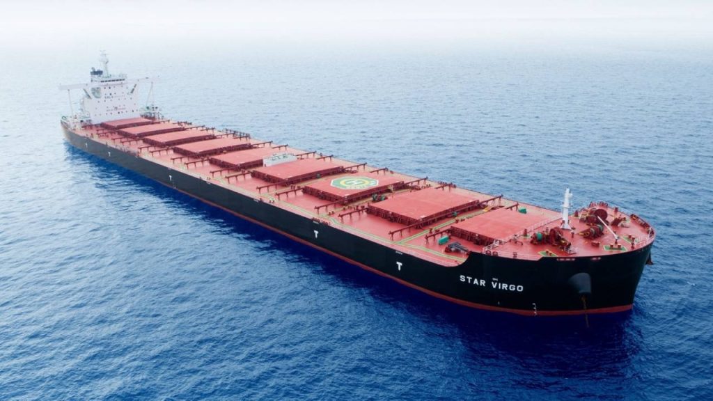 The Bulk Carriers – Dry Bulk Vessels