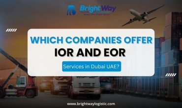 Which companies offer IOR and EOR services in Dubai UAE
