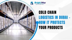 Cold Chain Logistics in Dubai – How It Protects Your Products