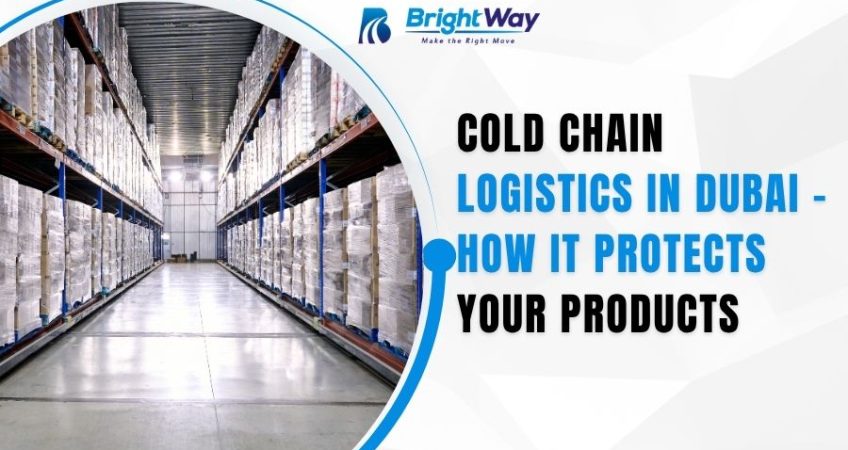 Cold Chain Logistics in Dubai – How It Protects Your Products