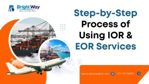 Step-by-Step Process of Using IOR & EOR Services