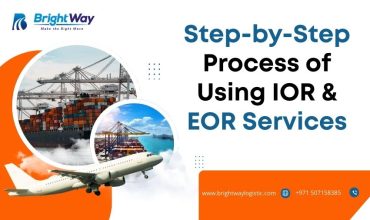 Step-by-Step Process of Using IOR & EOR Services