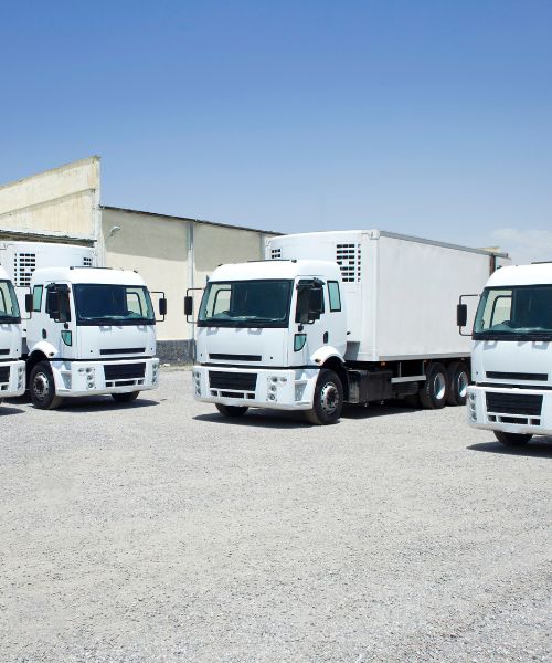 CICPA Pass Trucks & PDO Trucks in UAE