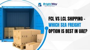 FCL vs LCL Shipping – Which Sea Freight Option Is Best in UAE