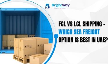 FCL vs LCL Shipping – Which Sea Freight Option Is Best in UAE