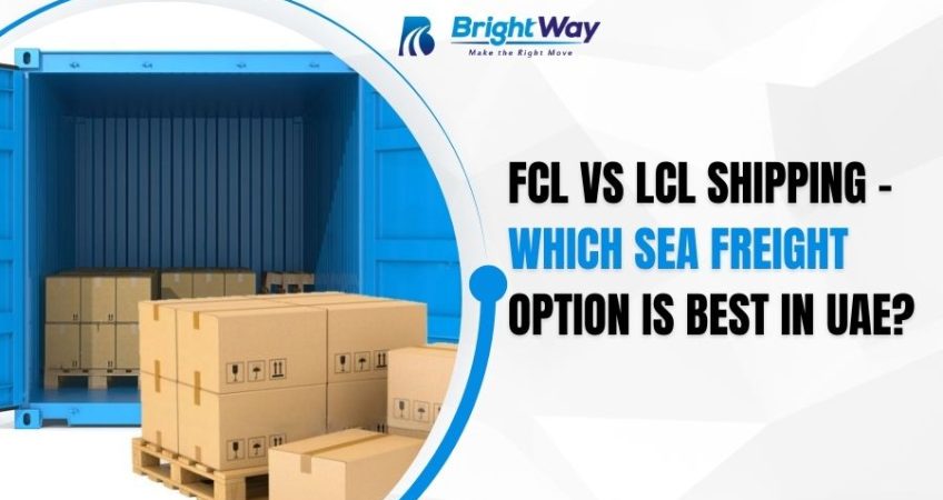 FCL vs LCL Shipping – Which Sea Freight Option Is Best in UAE