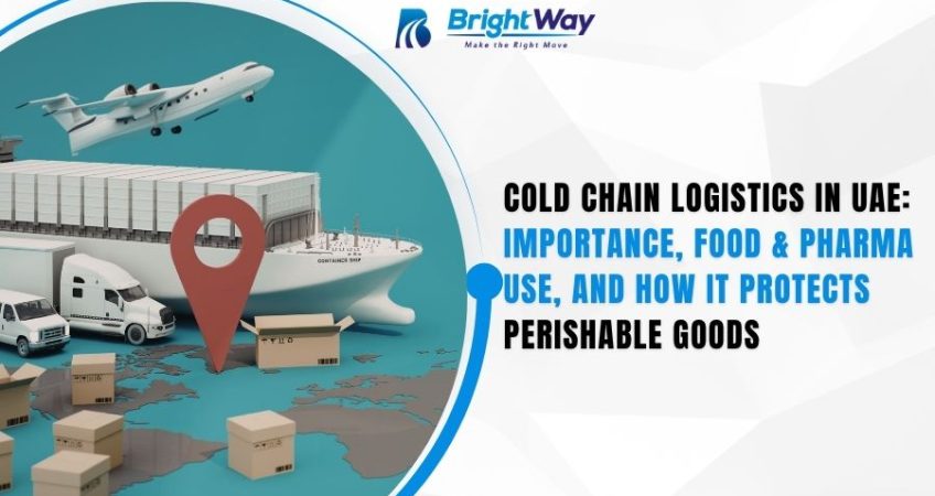 Cold Chain Logistics in UAE Importance, Food & Pharma Use, and How It Protects Perishable Goods