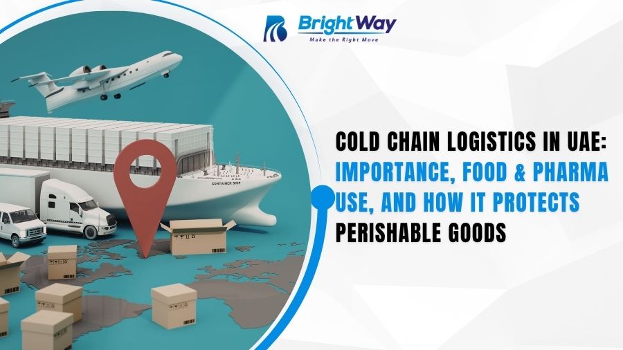 Cold Chain Logistics in UAE Importance, Food & Pharma Use, and How It Protects Perishable Goods