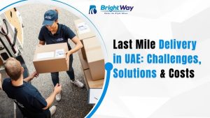 Reverse Logistics Process, Examples & How to Manage Returns Efficiently (2026)