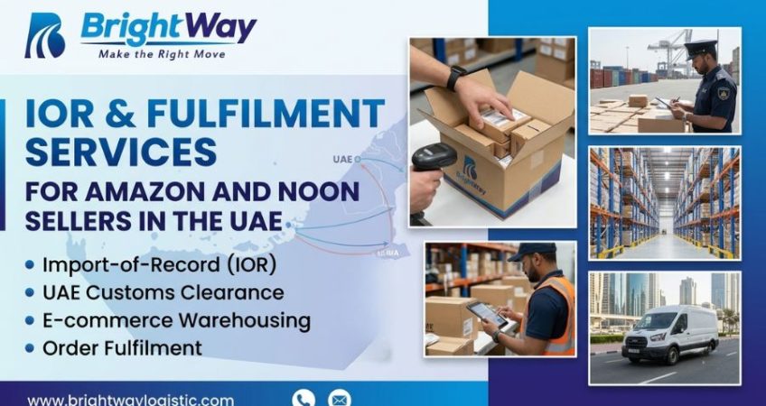 Common Challenges in Sea Freight Shipping and How to Avoid Them